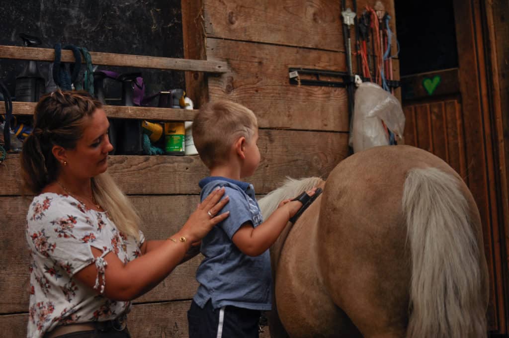 centre pédagogie équine cheval relation améliorer partager méthode formation