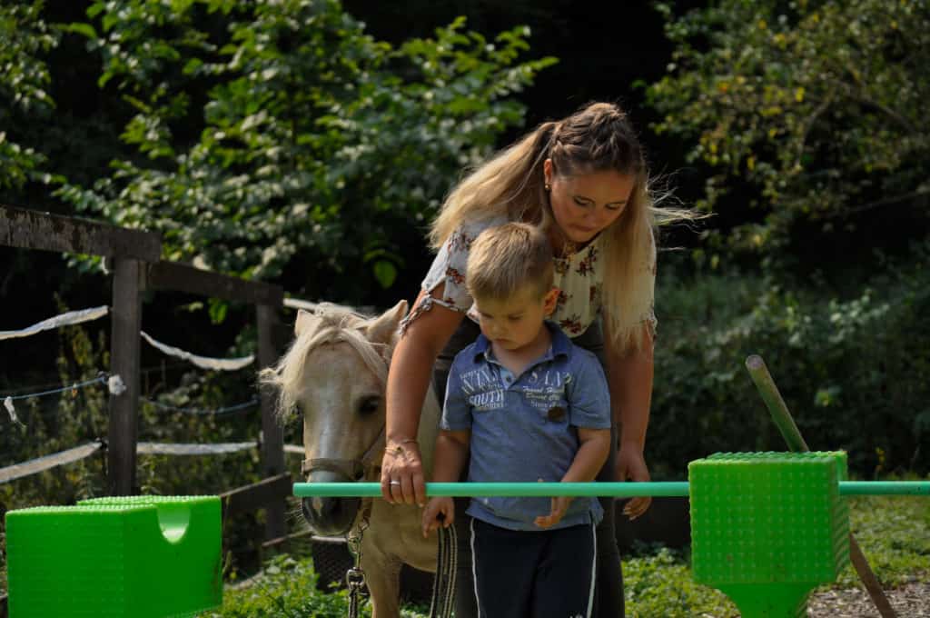 centre pédagogie équine cheval relation améliorer partager méthode formation