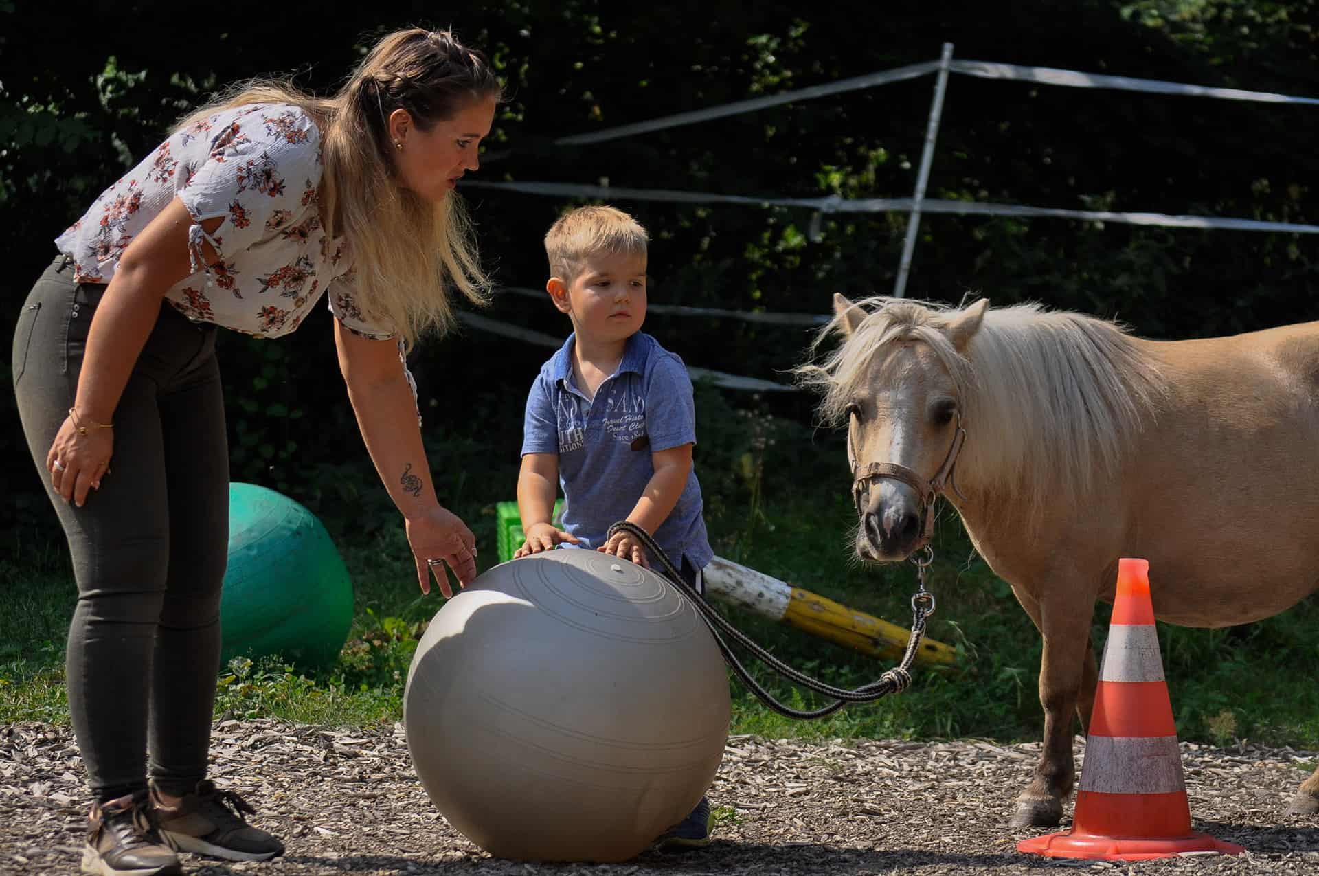 centre pédagogie équine cheval relation améliorer partager méthode formation