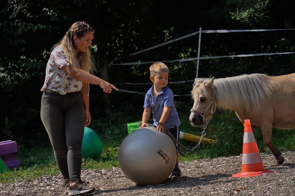 centre pédagogie équine cheval relation améliorer partager méthode formation