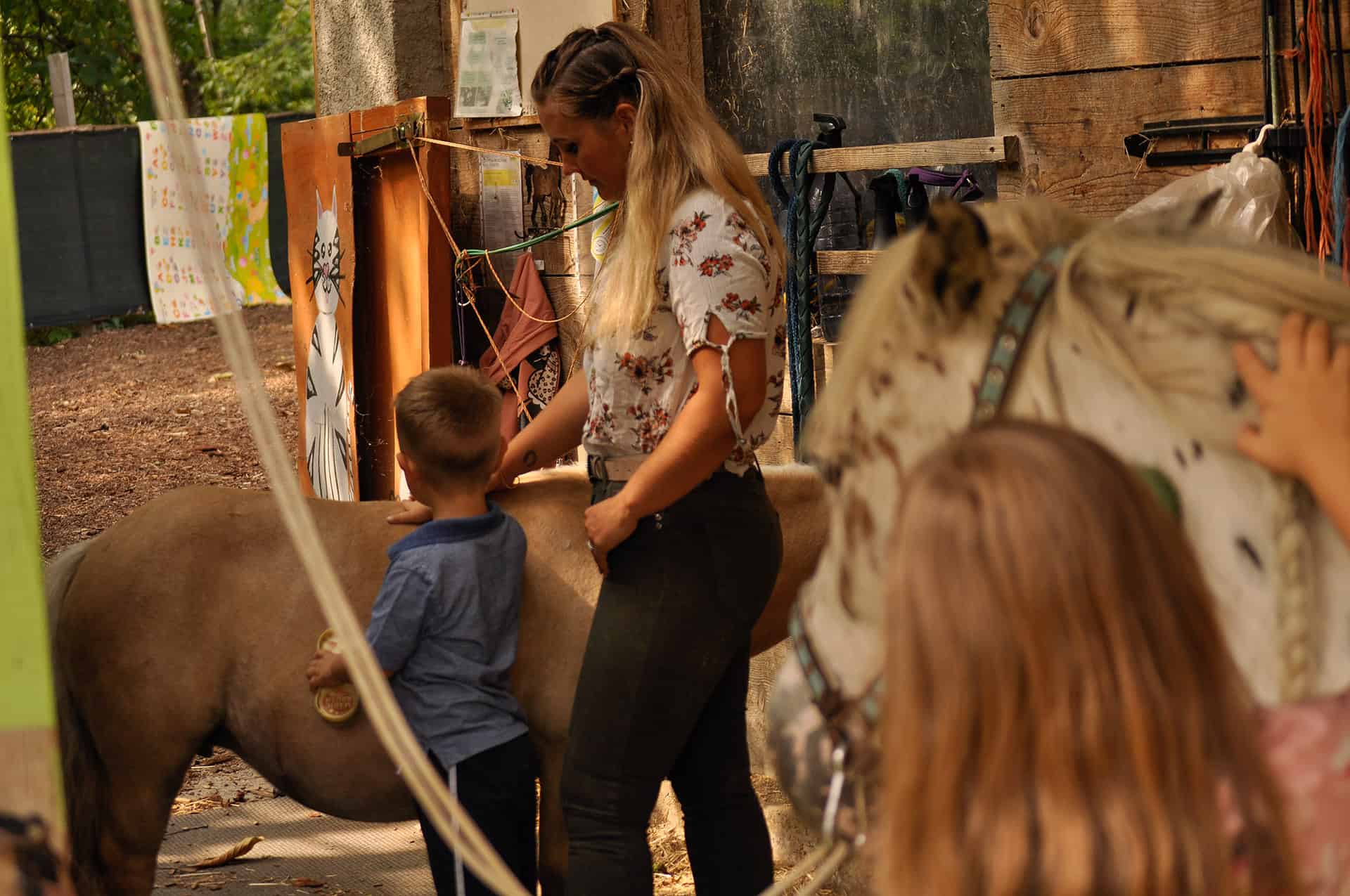 centre pédagogie équine cheval relation améliorer partager méthode formation