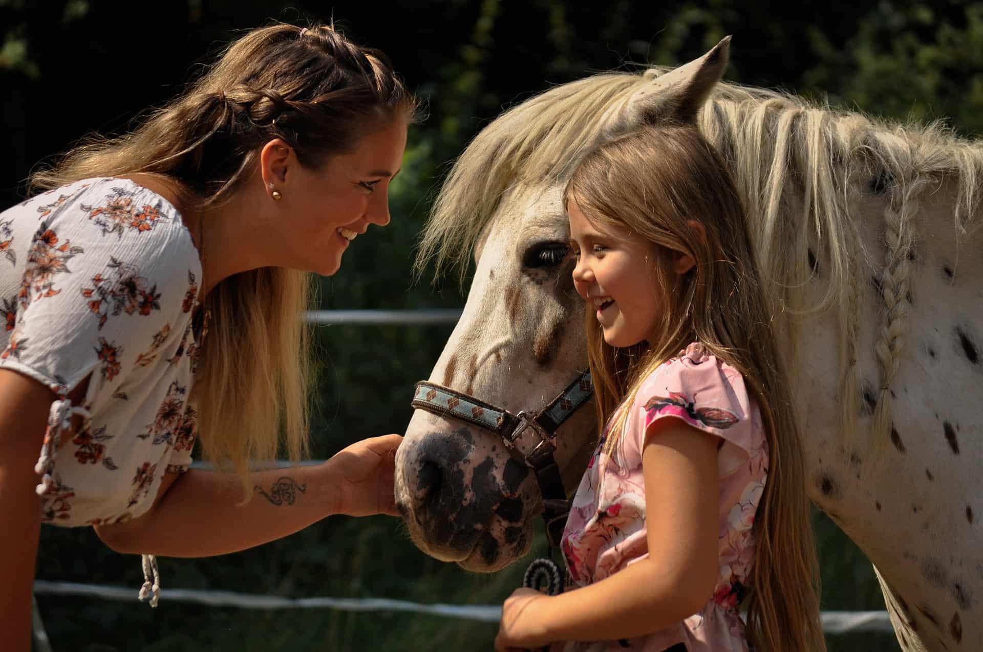 centre pédagogie équine cheval relation améliorer partager méthode formation