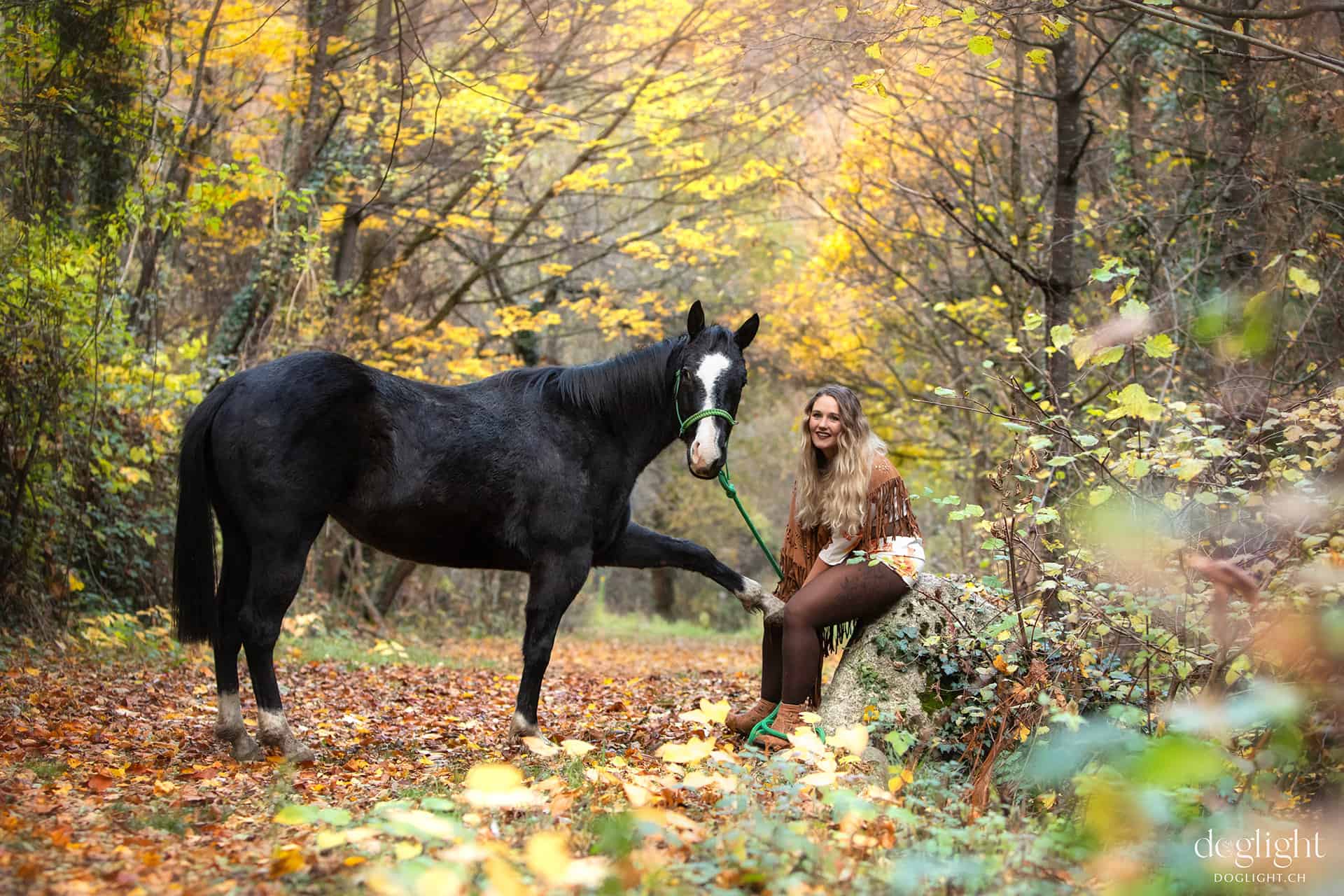 centre pédagogie équine cheval relation améliorer partager méthode formation