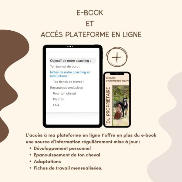 E-book et accès plateforme en ligne